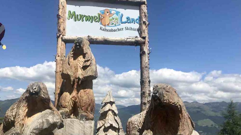 Le Royaume des Marmottes Murmelland Zillertal, © familienurlaub-info.com