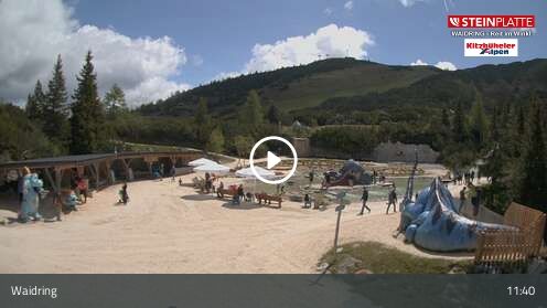 Webcam Triassic Park