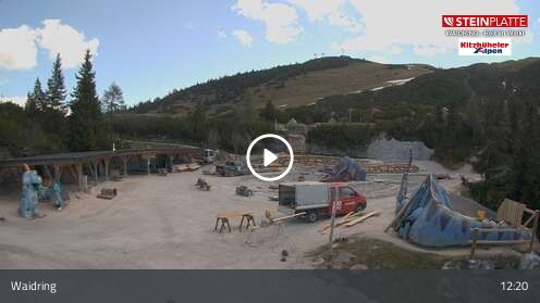 Webcam Triassic Park
