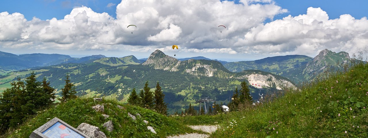 Chemin découverte de Neunerköpfle, © TVB Tannheimer Tal / Achim Meurer