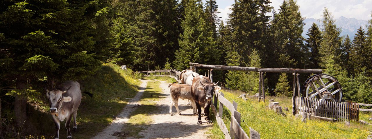 L'espace grandeur nature Familienpark, idéal pour les familles, © Tirol Werbung/Frank Bauer