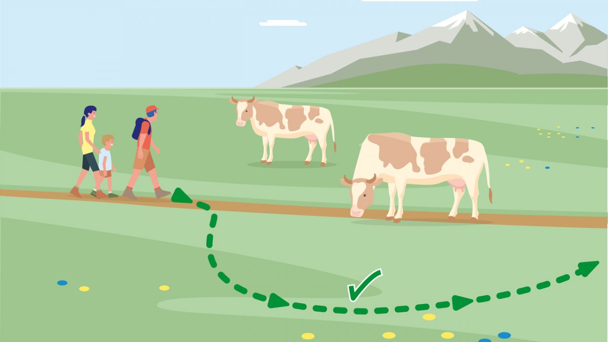 Si des animaux vous coupent le chemin, les contourner avec le plus de distance possible !
, © Landwirtschaftskammer Tirol
