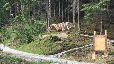 Chemin des Animaux Sauvages Gleins, © TVB Stubai