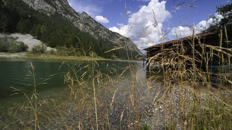 Virée en bateau sur le lac Plansee, © Tirol Werbung/Bernhard Aichner
