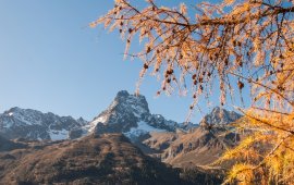L'automne dans la vallée de Pitztal, © Jannis Braun