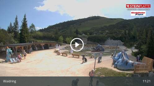 Webcam Triassic Park