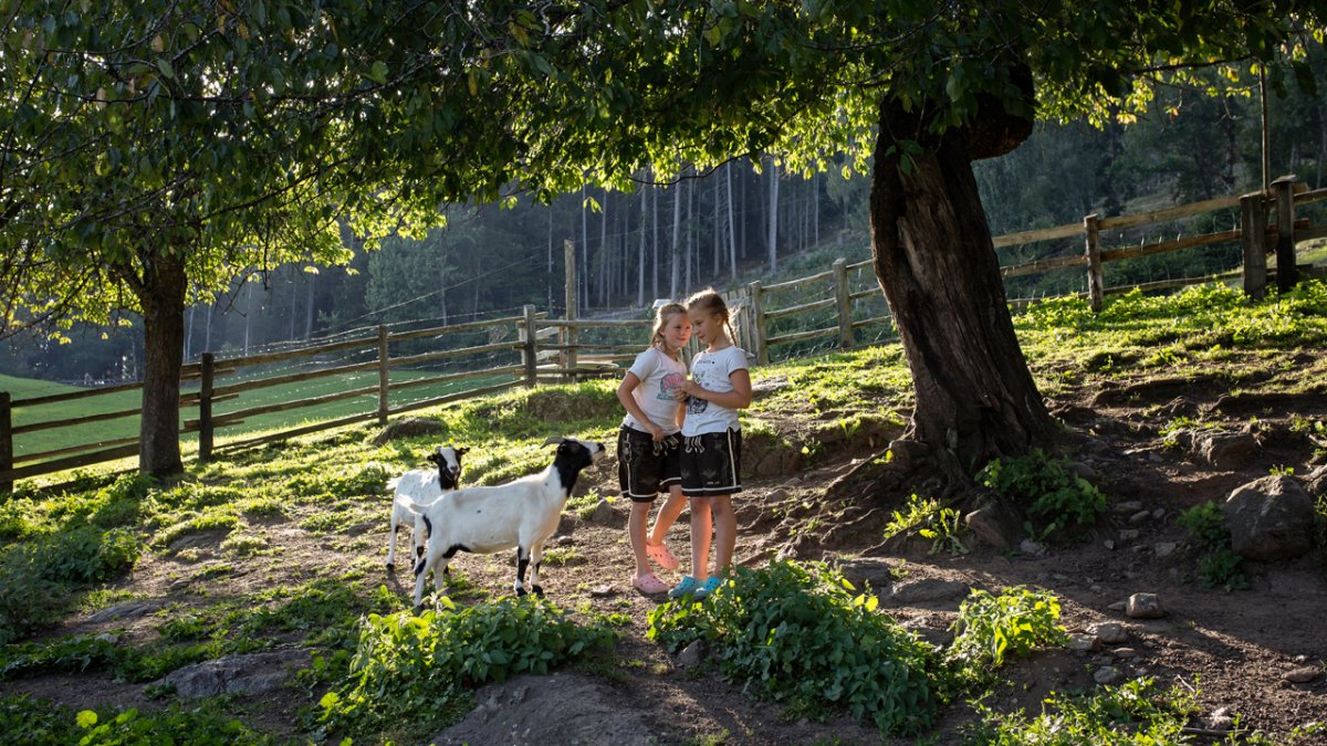 Les chèvres naines en compagnie des enfants, © Tirol Werbung/Lisa Hörterer