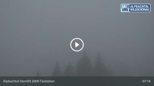 Webcam Hornlift 2000 Talstation