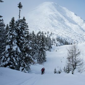 Excursion en ski de randonnée, © Tirol Werbung/Martina Wiedenhofer