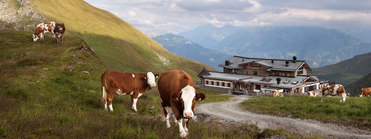 Près de l'auberge d'altitude Wedelhütte, © Tirol Werbung/Frank Bauer