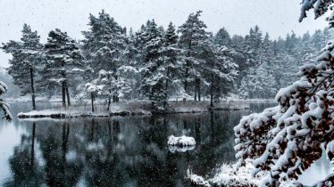 Randonnée hivernale du chemin de la paix de Mösern, © Region Seefeld