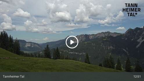 Webcam Krinnenalpe