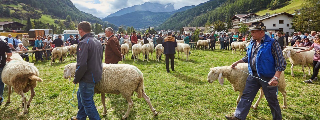 La Fête des moutons de Sölden, © Anton Klocker