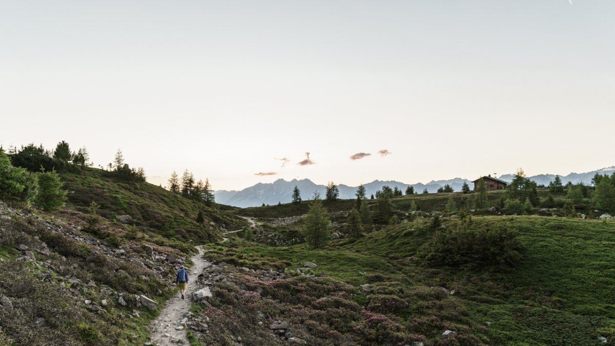 Le chemin de Zirbenweg : une expérience non difficile en haute montagne