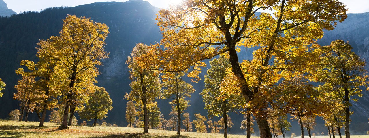 Le Grand parc d’érables, Karwendel, © Tirol Werbung/W9 Studios