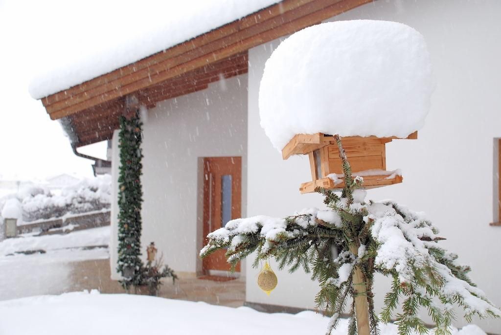 A snowy house with a birdhouse covered in snow. Snow-covered trees can be seen in the background.
