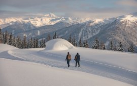 Randonnées hivernales au Tyrol, © Tirol Werbung / Katharina Poblotzki 