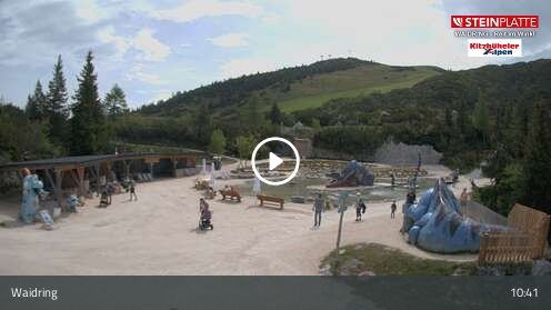 Webcam Triassic Park