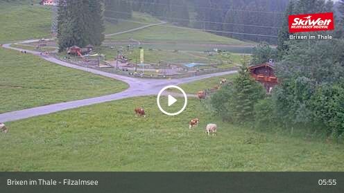 Webcam Filzalmsee