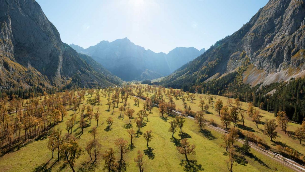 Le grand Bois d'érables, © Tirol Werbung/Webhofer Mario