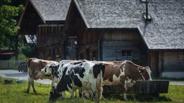 L’alpage Eng-Alm, © Silberregion Karwendel