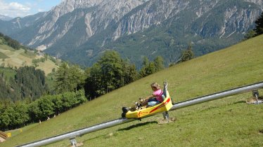 Parcours de luge d'été Assling