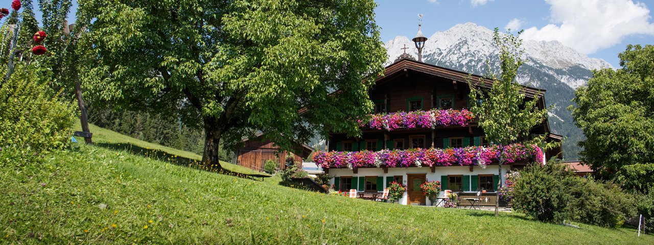 Le gîte Obholzhof à Scheffau, Wilder Kaiser, © Tirol Werbung/Lisa Hörterer