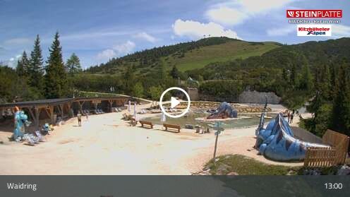 Webcam Triassic Park