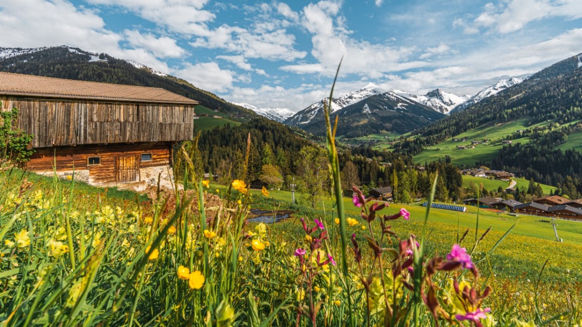 Vacances de printemps et de pure., ©  Alpbachtal Tourismus/wirlichtenab.de