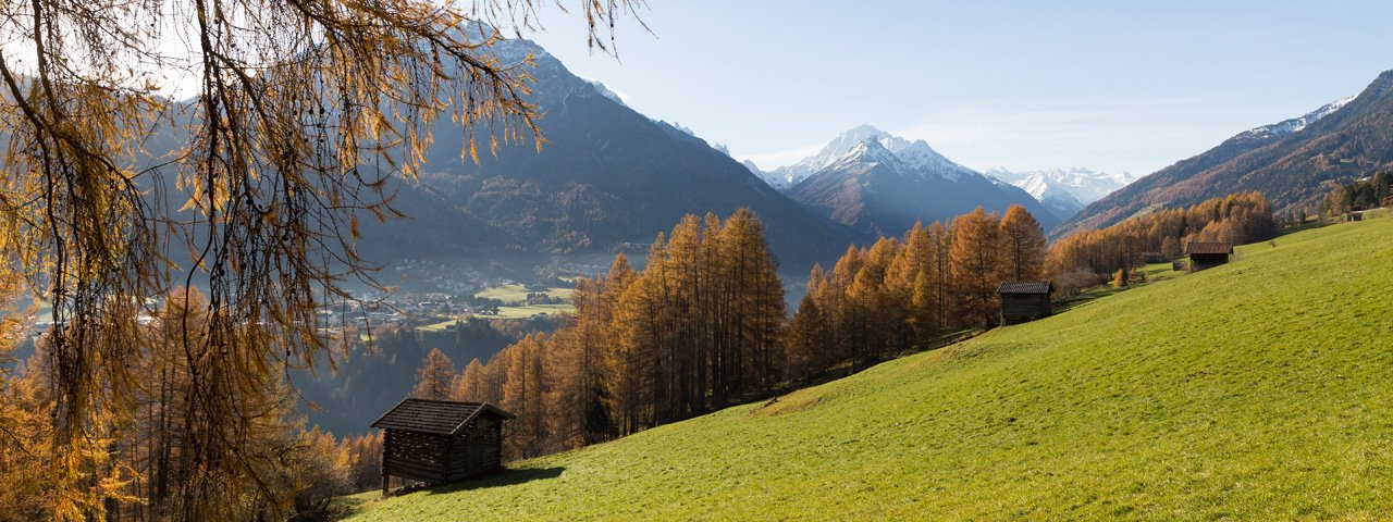 Les pâturages de Telfs : les Telfer Wiesen, © Tirol Werbung