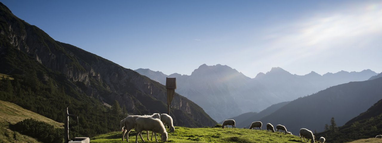 Voie de l'aigle étape 14 : Chalet de Solsteinhaus, © Tirol Werbung/Wiedenhofer Martina