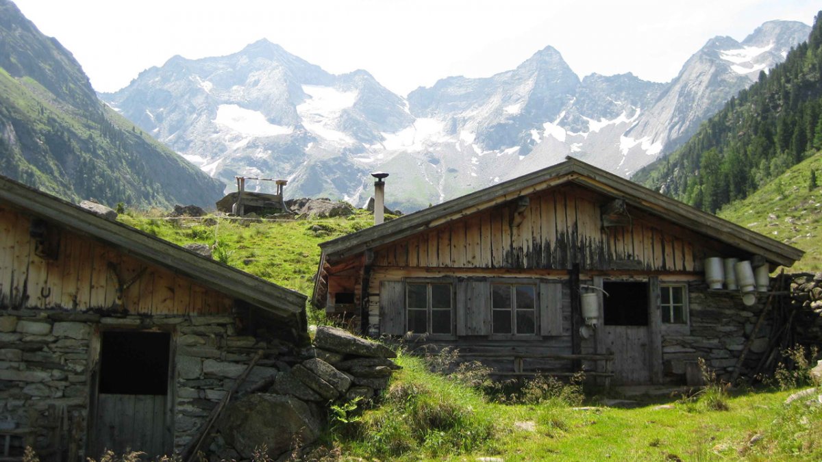 Cet alpage est typique du coeur des Alpes., © Hochgebirgs-Naturpark Zillertaler Alpen